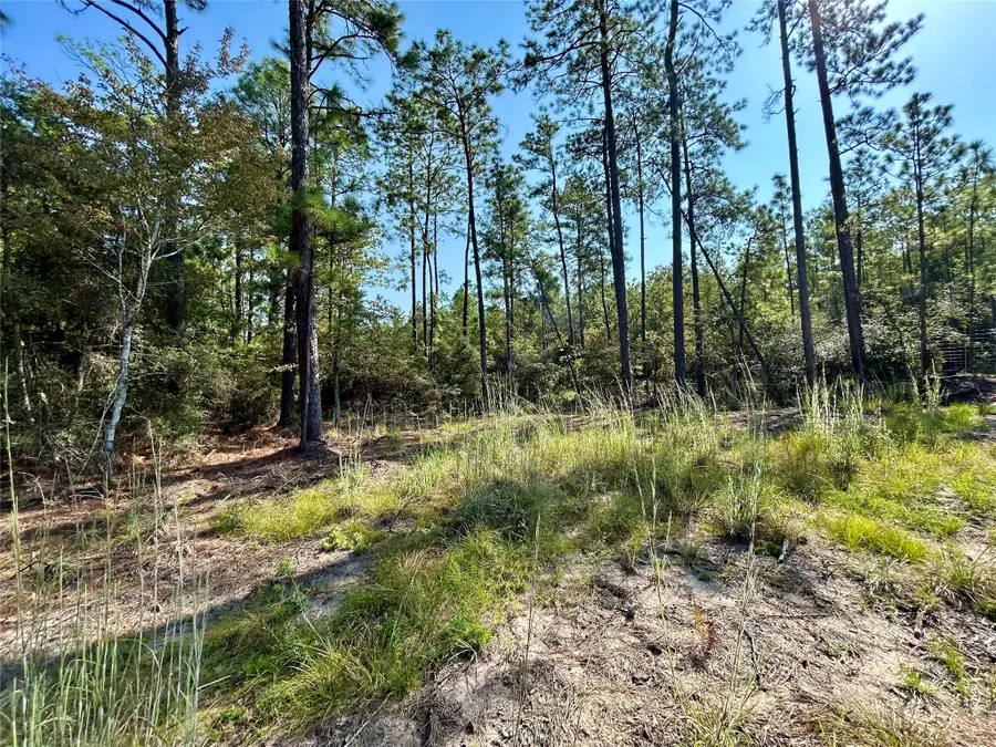 151 Ashbrook Lane, Brookeland, TX 75931 - #3