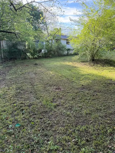 2413 Cass Street, Marshall, TX 75670 - #3