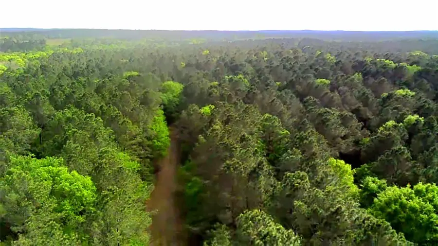 TBD Parcel # 96677 Hwy 190, Point Blank, TX 77364 - #2