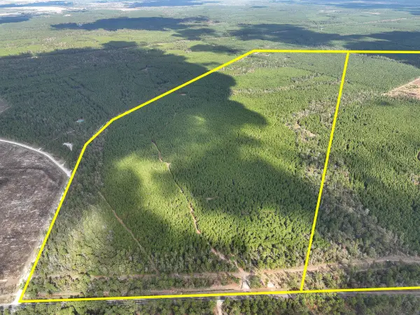 T-1 Fm 247, Huntsville, TX 77340