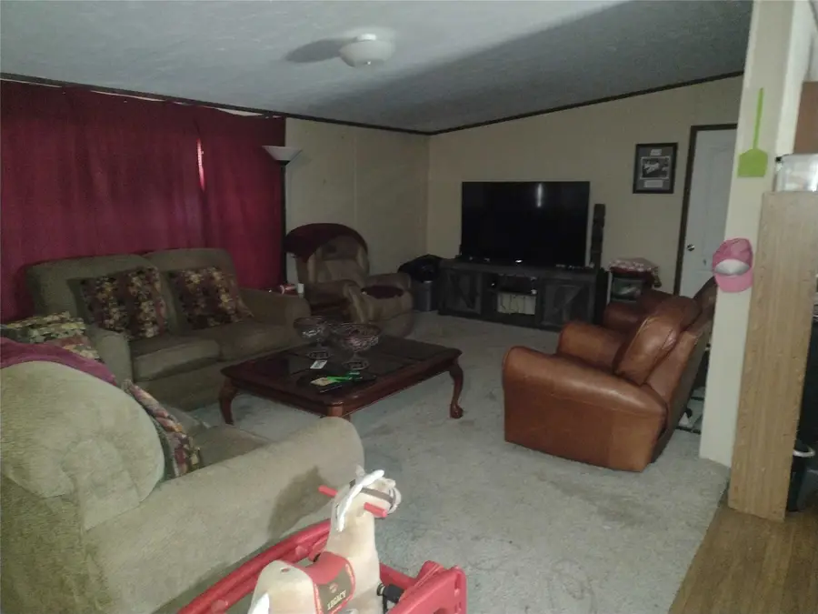 1103 Williams Avenue, Schulenburg, TX 78956 - #3