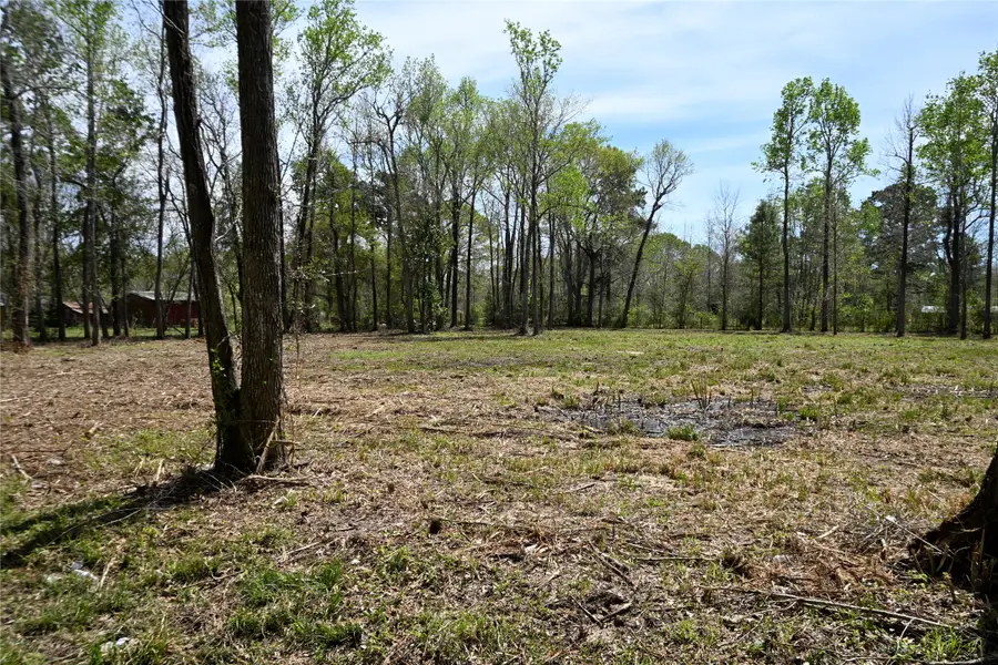 lot 5 County Road 2360, Hardin, TX 77575 - #3