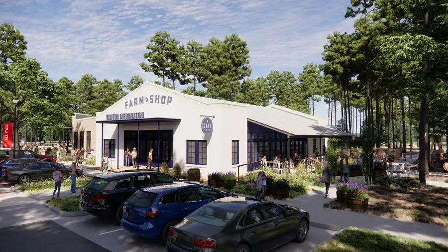 9014 Babbling Brook Drive, Montgomery, TX 77316 - Image #3