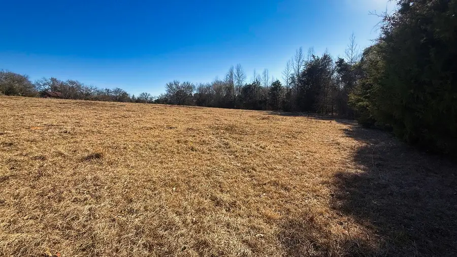 TBD #5 County Road 477 Parcel 5, Henderson, TX 75654 - #3