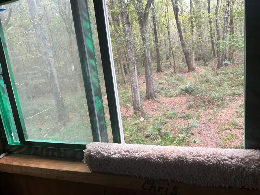 0 Winter Creek, Shepherd Evergreen, TX 77328 - #3