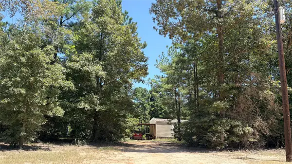 391 Deer Country Road, Chester, TX 75936