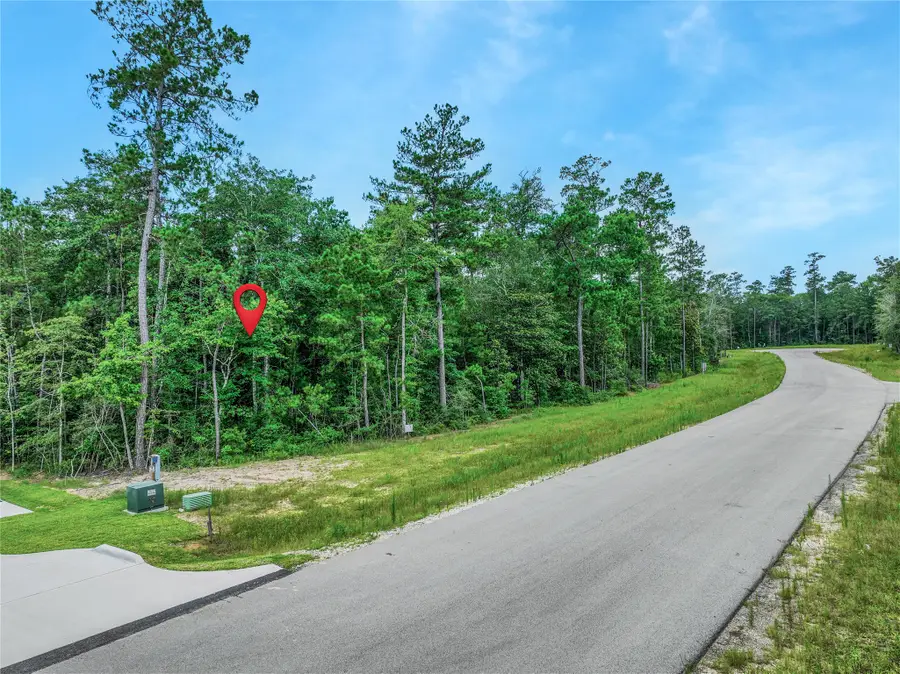 103 Eagle Run Road, Willis, TX 77378 - #3