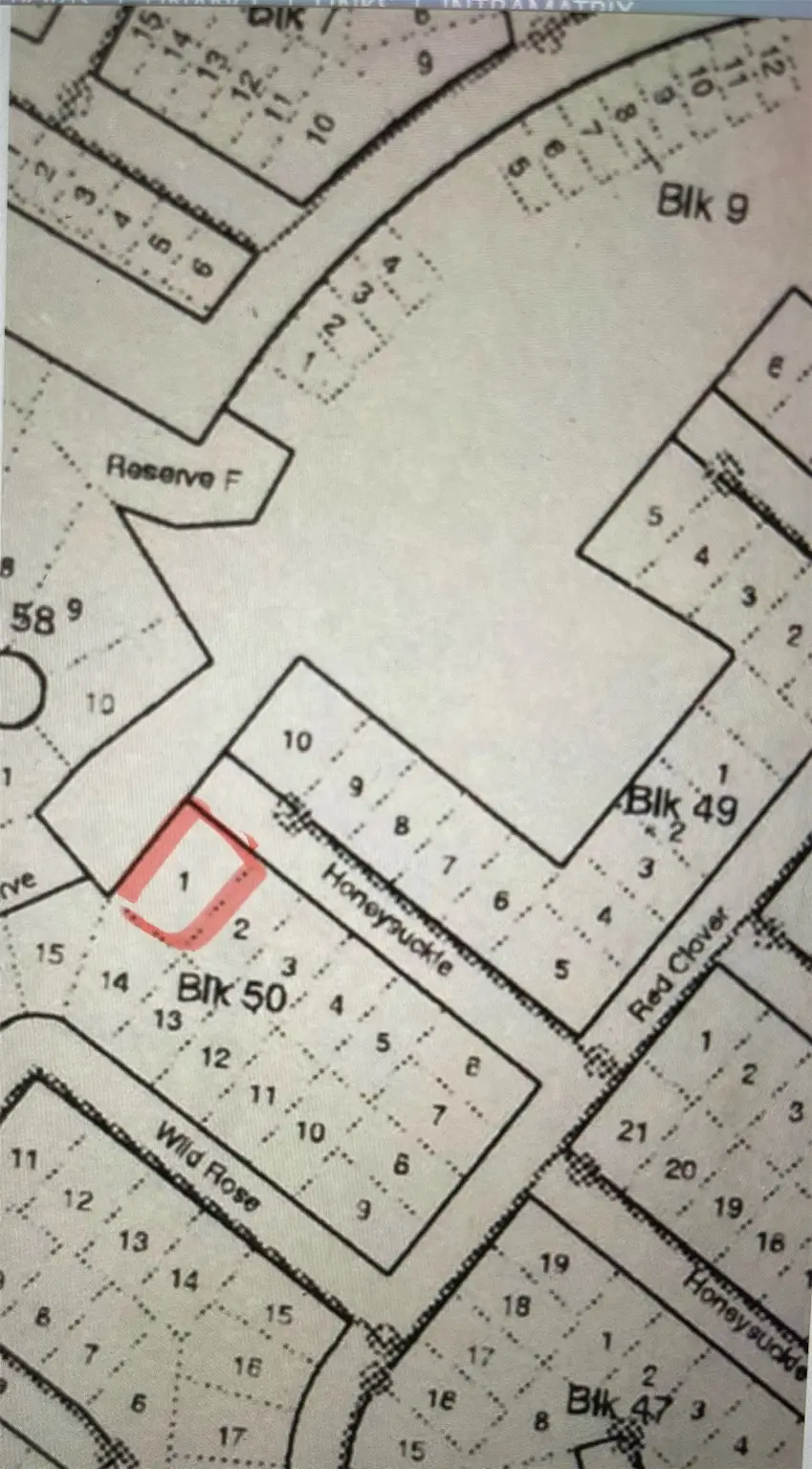 000 Honeysuckle, Livingston, TX 77351 - Image #1