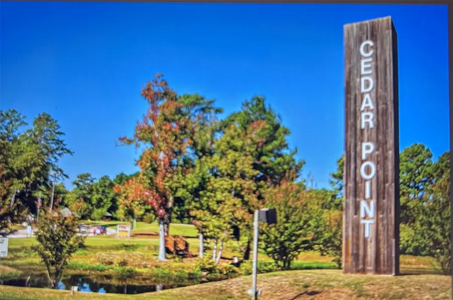 000 Honeysuckle, Livingston, TX 77351 - Image #3