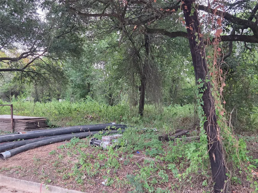 109 S San Jacinto Street, Conroe, TX 77301 - #2