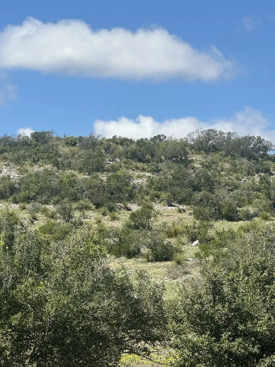 Lot 32 County Road, Rocksprings, TX 78880 - Image #3