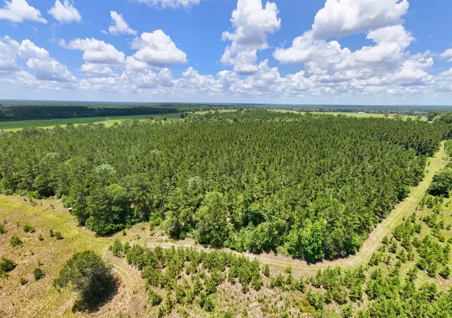 000 County Road 1450, Warren, TX 77664 - #3