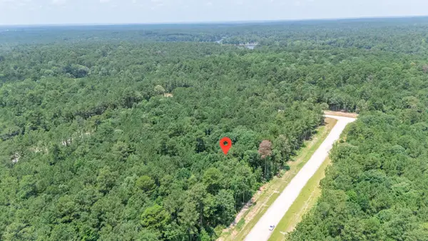128 Splendid Road, New Waverly, TX 77340