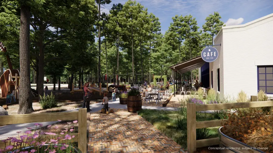 11271 Dance Hall Drive, Montgomery, TX 77316 - Image #3