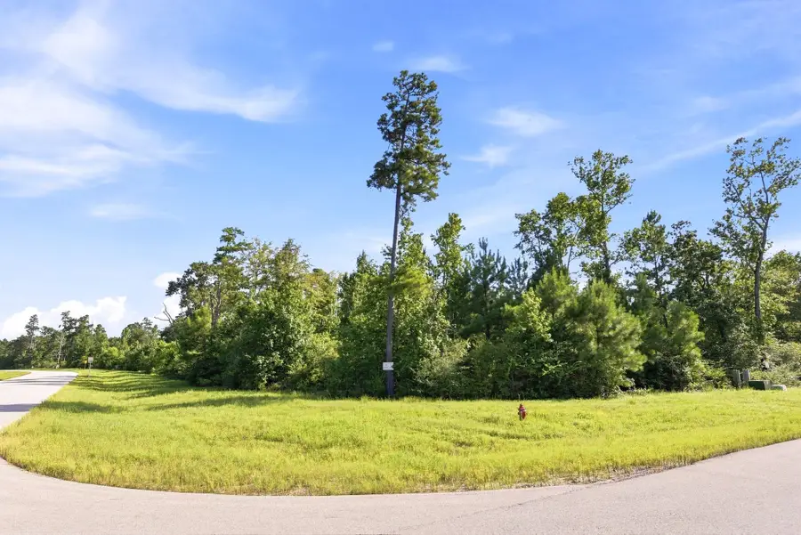 300 Iron Horse Road, Willis, TX 77378 - #3