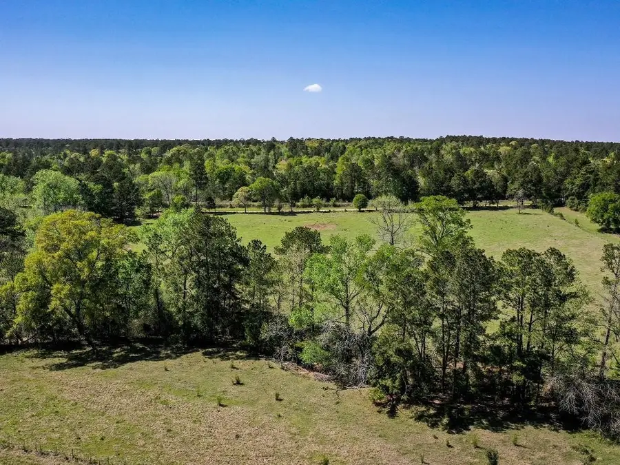 0 Black Jack Cemetery Road, Huntsville, TX 77340 - #2