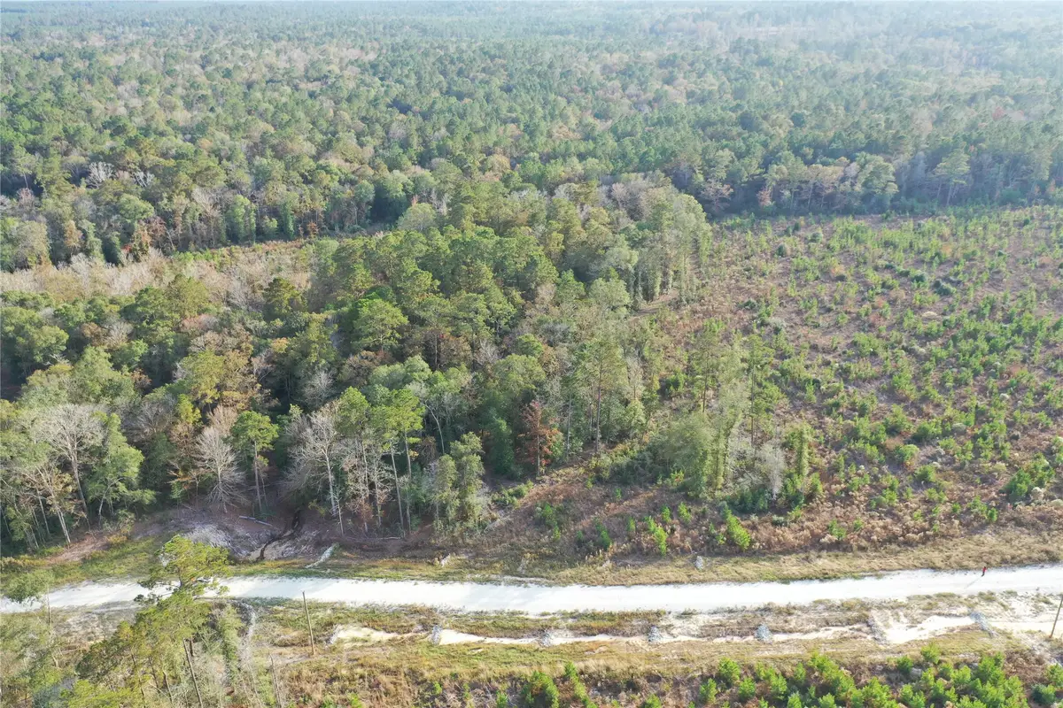 TBD Lady Luck Parcel Id 246445 Lane, Livingston, TX 77351 - #1