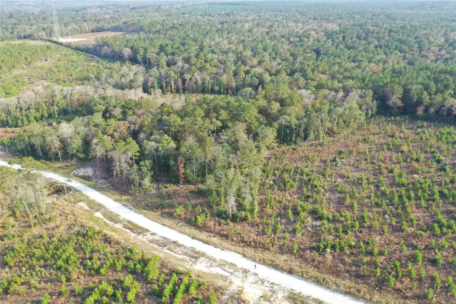 TBD Lady Luck Parcel Id 246445 Lane, Livingston, TX 77351 - #2