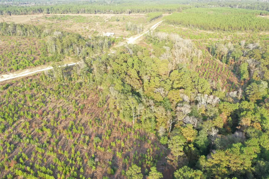 TBD Lady Luck Parcel Id 246445 Lane, Livingston, TX 77351 - #3