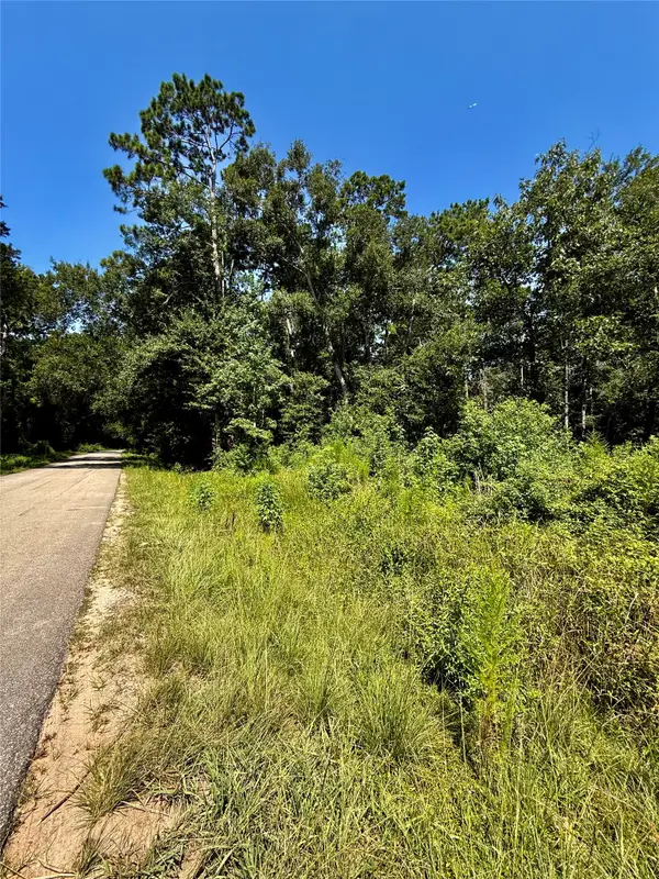 TBD Lot 3 Rolling Hills Drive, Porter, TX 77365