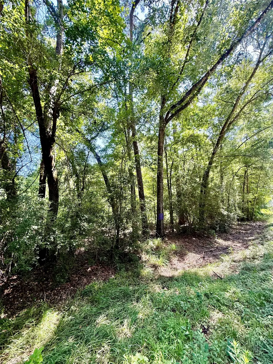 TBD Lot 3 Rolling Hills Drive, Porter, TX 77365 - #2