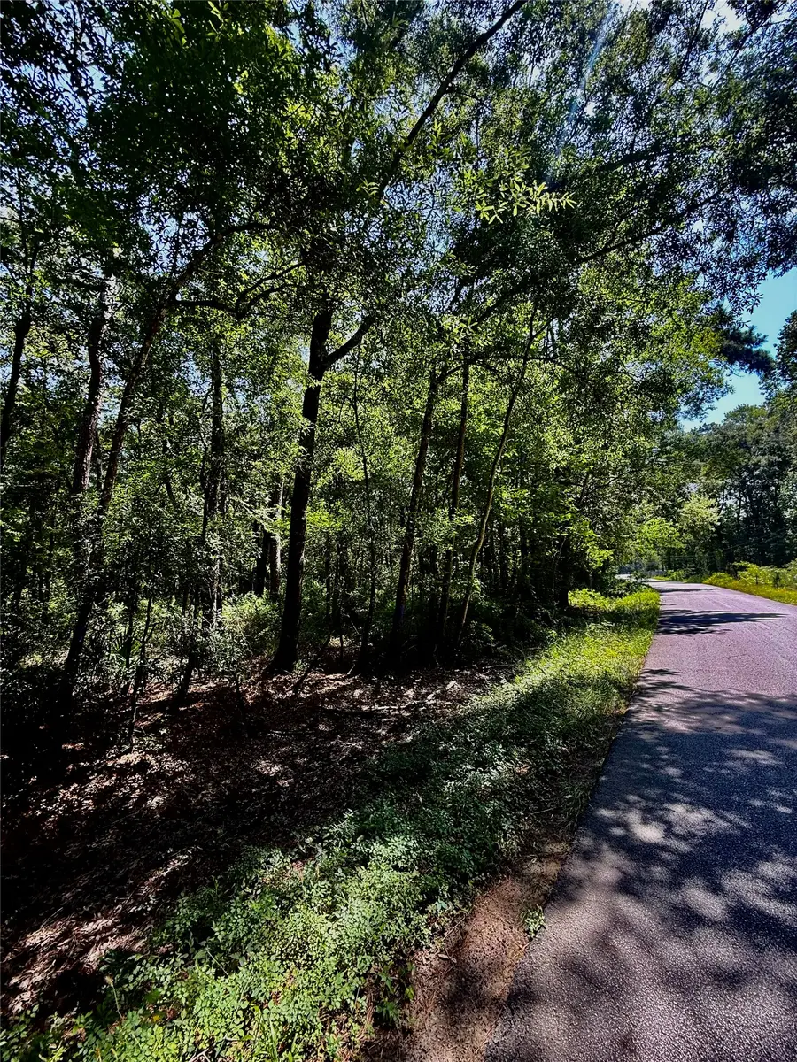 TBD Lot 3 Rolling Hills Drive, Porter, TX 77365 - #3