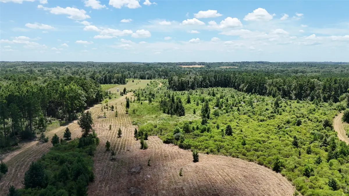 TBD Oakdale Loop, Livingston, TX 77351 - #1