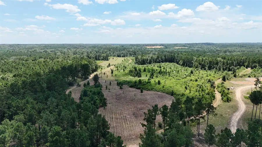 TBD Oakdale Loop, Livingston, TX 77351 - #2