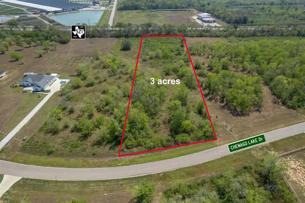 22611 Chenango Lake Drive, Angleton, TX 77515 - #1