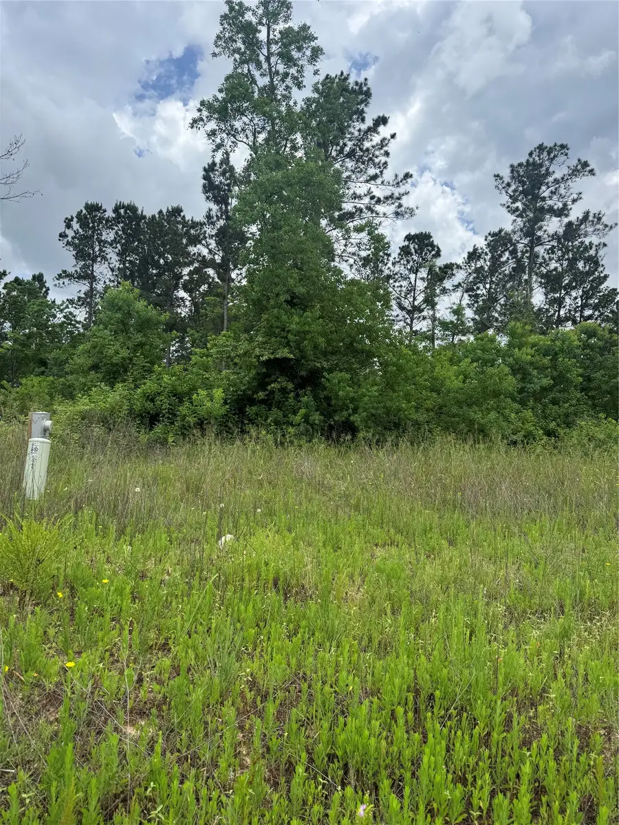 5049 Road 5874, Cleveland, TX 77327 - #2