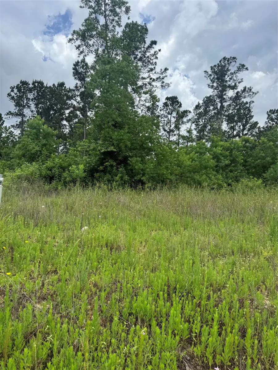 5049 Road 5874, Cleveland, TX 77327 - #3