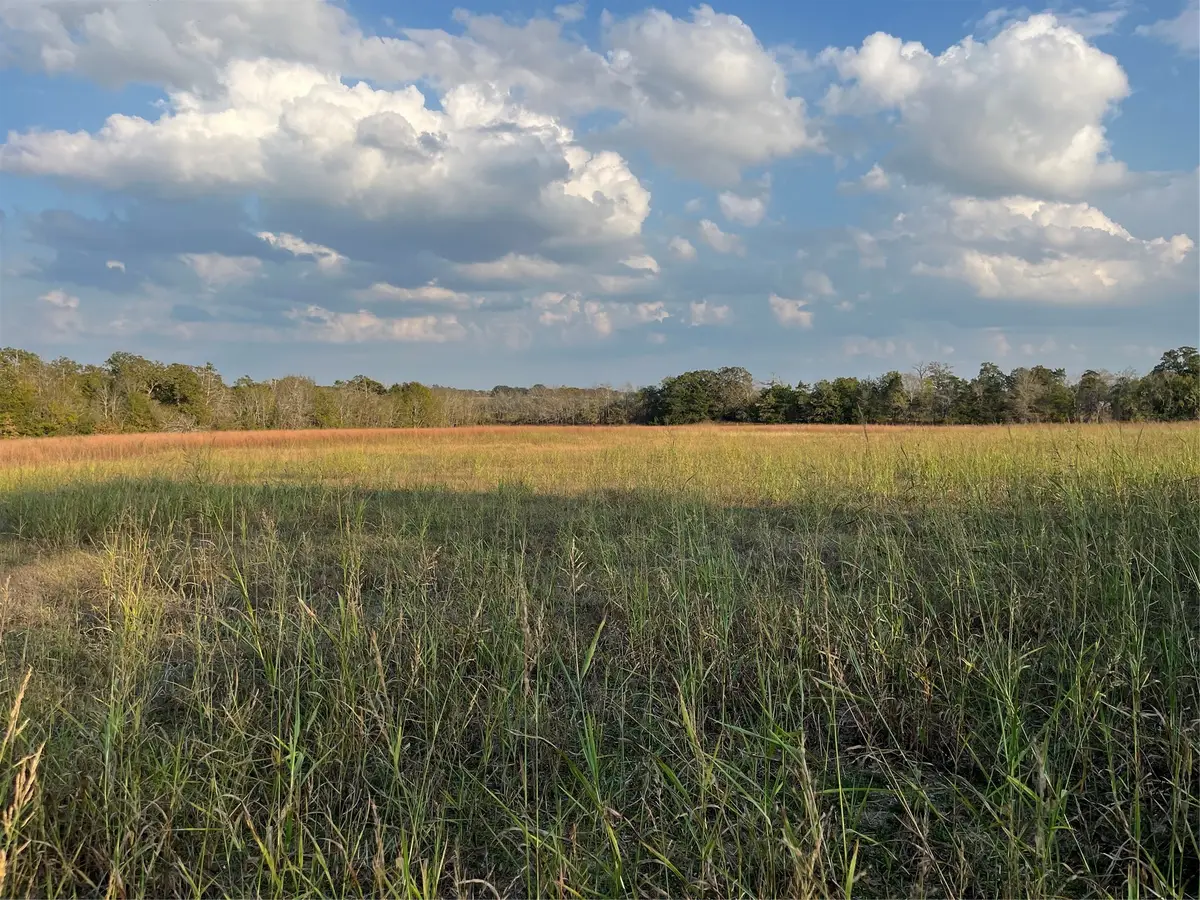 0 Squirrel Rd, New Ulm, TX 78950 - Image #1