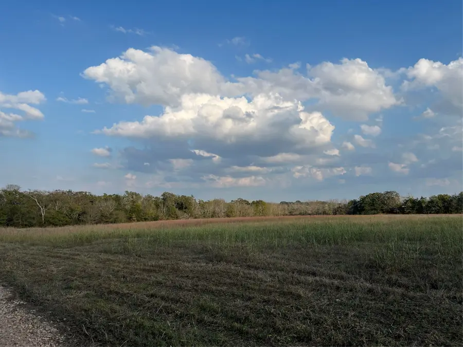 0 Squirrel Rd, New Ulm, TX 78950 - Image #2