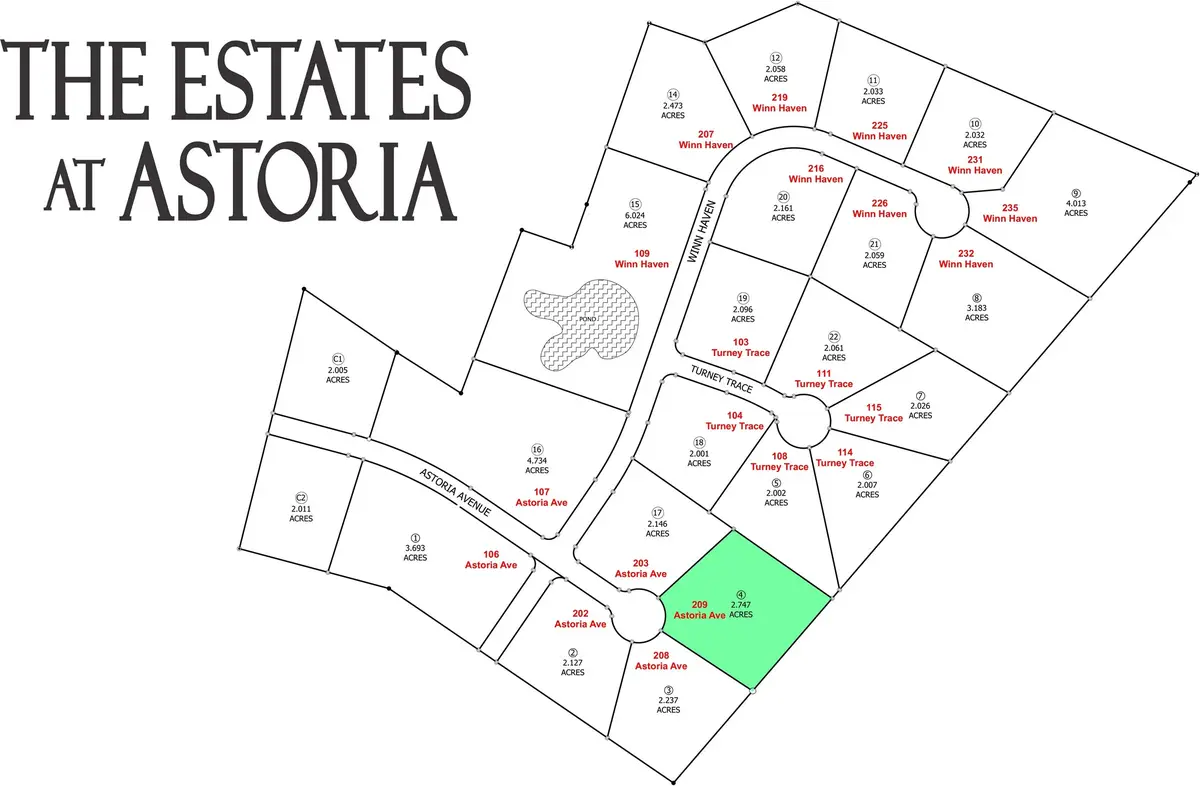 209 Astoria Avenue, Round Top, TX 78954 - #1