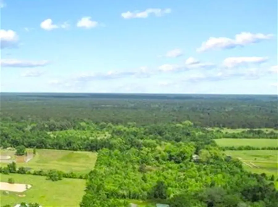 0 Wynne Road, Trinity, TX 75862 - #2