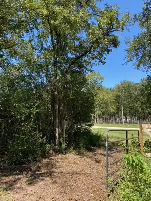 UNK Sawmill Road, Franklin, TX 77856 - #2