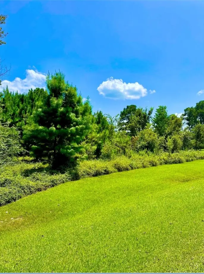 0 Lakeshore Drive, Hempstead, TX 77445 - Image #1