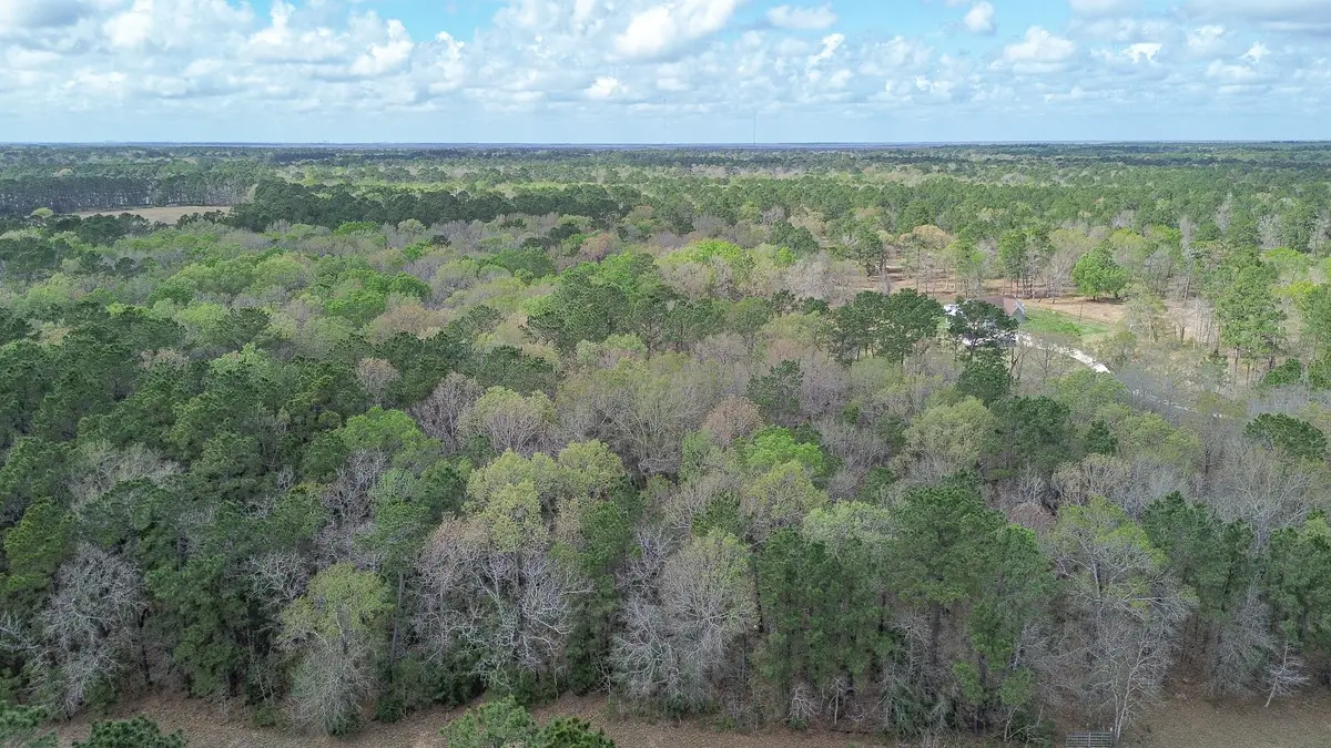 TBD Dream Catcher Drive, Wallisville, TX 77597 - #1