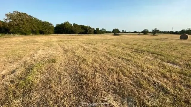 1290 Gun Range Road, Somerville, TX 77879 - #1