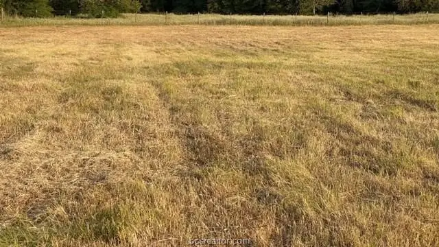 1290 Gun Range Road, Somerville, TX 77879 - #2