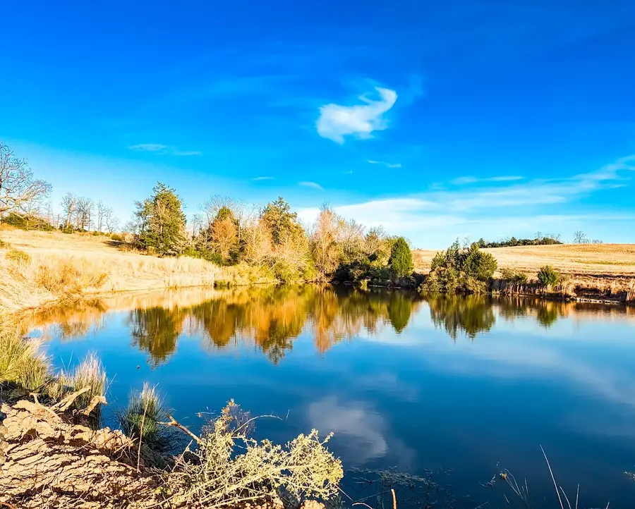 TBD State Highway 75, Buffalo, TX 75831 - #3