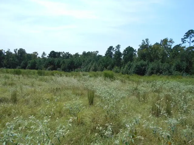 TBD Fm-2712, Crockett, TX 75835 - #3