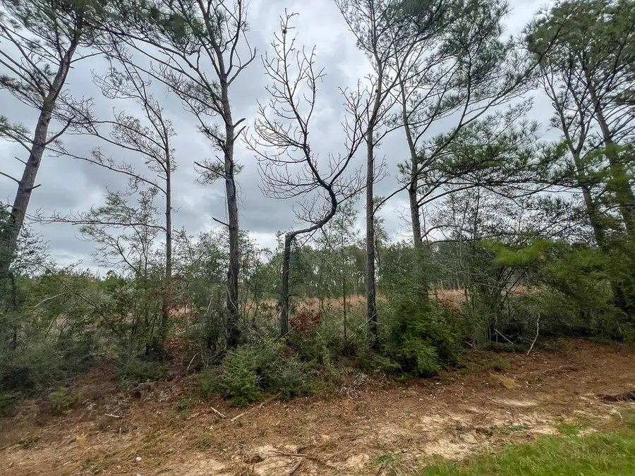 T-4 Highway 190, Newton, TX 75966 - Image #3