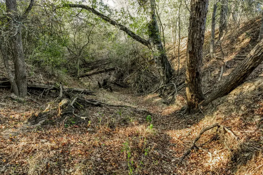 Tract 2 Warda Church Rd, Warda, TX 78960 - Image #2