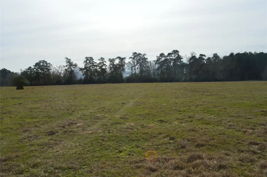 TBD000 Wiggins, Conroe, TX 77302 - Image #2