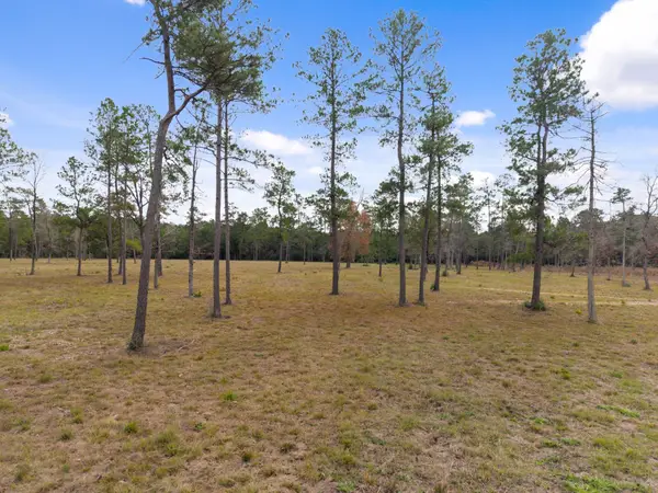 TBD LOT 4 Fm 3152 Road, Livingston, TX 77351