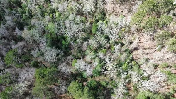 16.97AC Tr Cr 4081, Bon Wier, TX 75928