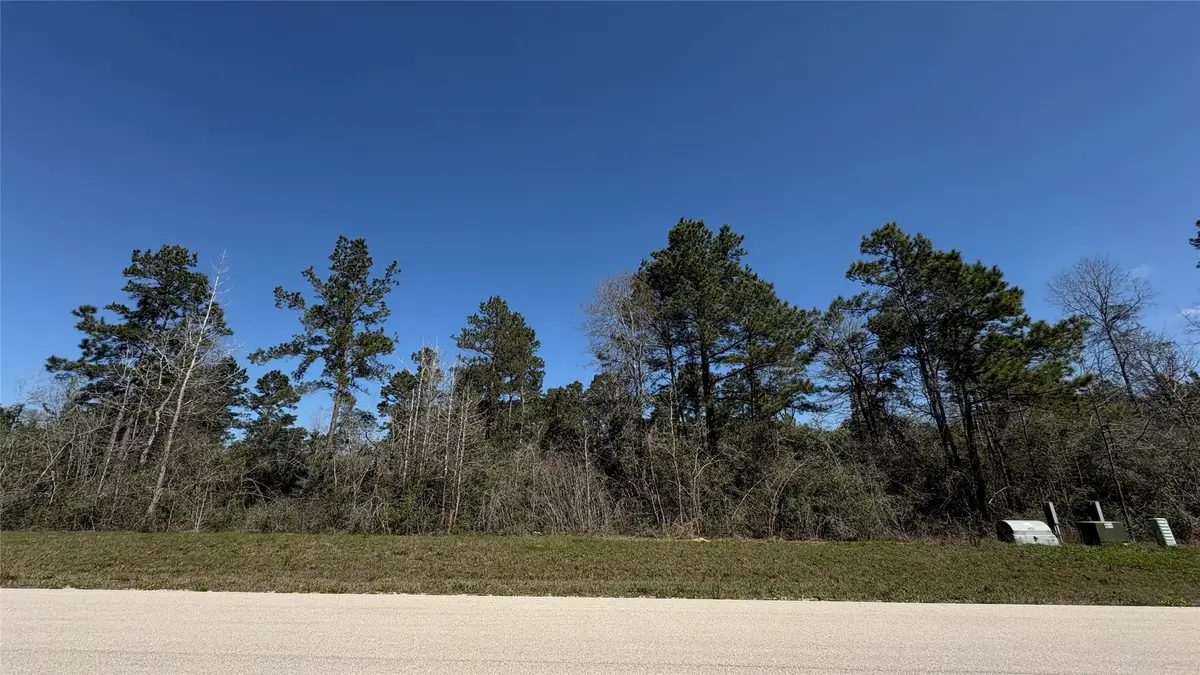 126 Great Plains Way, New Waverly, TX 77358 - #1