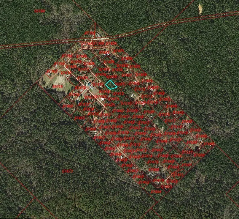 TBD Possum Walk Lane, New Waverly, TX 77358 - #3