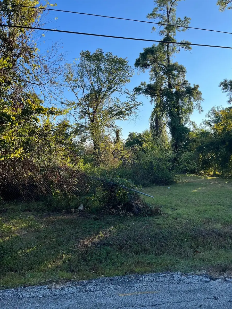 6908 S Hall Street, Houston, TX 77028 - Image #2